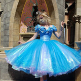 Cap Sleeve Ball Gown Blue Cinderella Dress Organza Birthday HZ0307