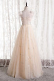 Champagne A-line Tulle Long Party HZ0307