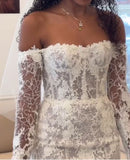 Classic Mermaid Lace Beaded Wedding Dresses Off The Shoulder Bridal HZ0307