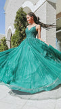 Dark Green A-Line Tulle Prom Dresses, Glitter Appliques Party HZ0307