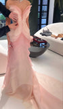 Fairytale Pink Ruffle Evening Party Dress, Sleeveless Prom Dresses, HZ0307