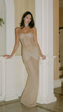 Glitter Champagne Sheath Prom Dress, Sexy See Through Party Dress, HZ0307