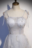 A-line Grey See through Party HZ0307